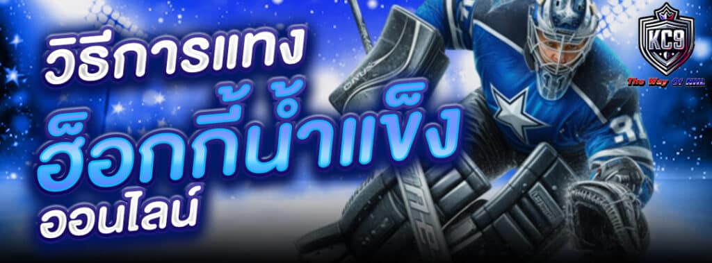 แทงฮ็อกกี้น้ำแข็ง