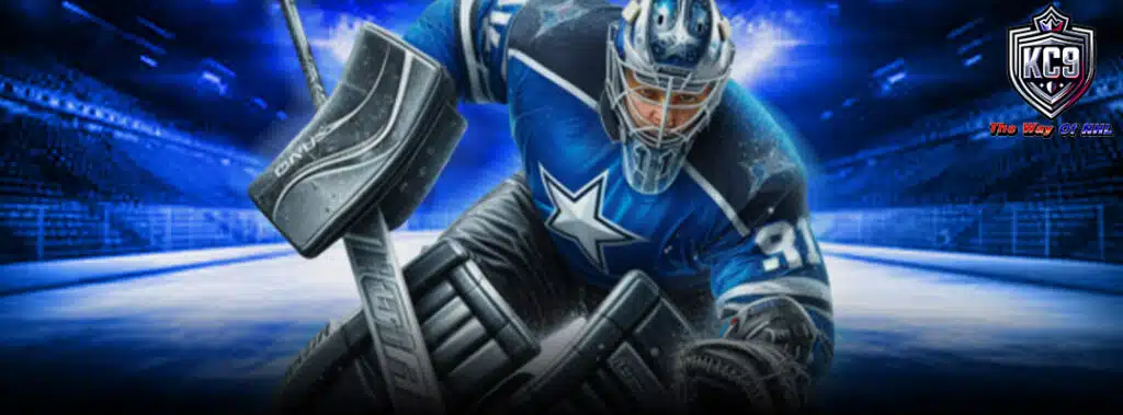 ฮ็อกกี้น้ำแข็ง NHL